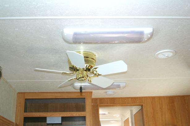 Fan